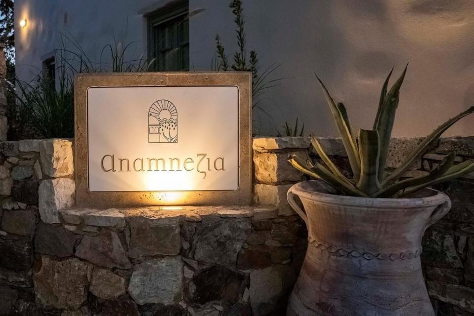 Anamnezia Luxury Suites (Adults Only) Agios Dimitrios  Exteriör bild